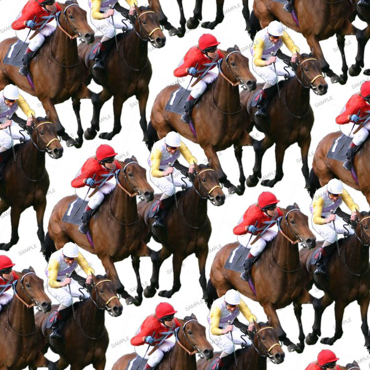 Horse Racing 22