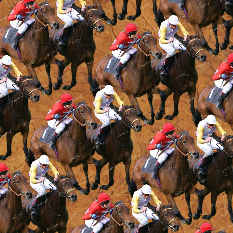Horse Racing 23