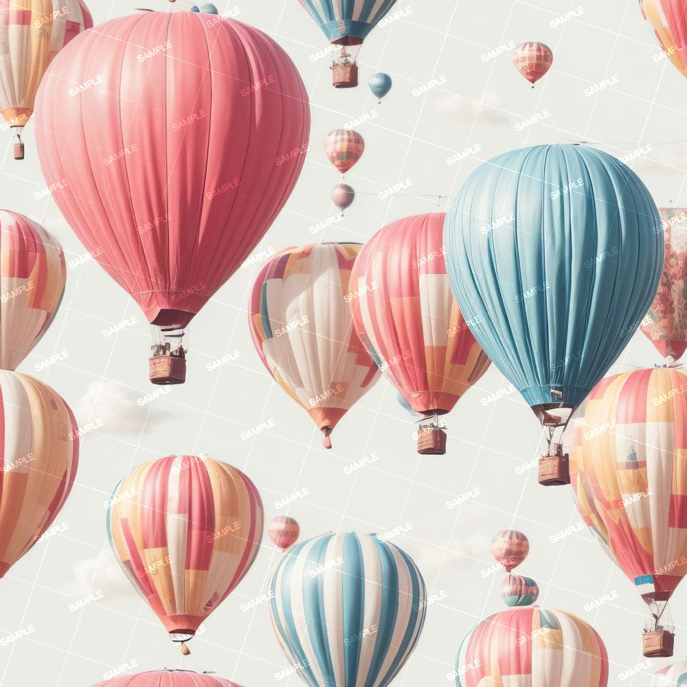 Hot Air Balloons 42