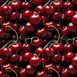 Hot-Cherries-Bright-Lights-1