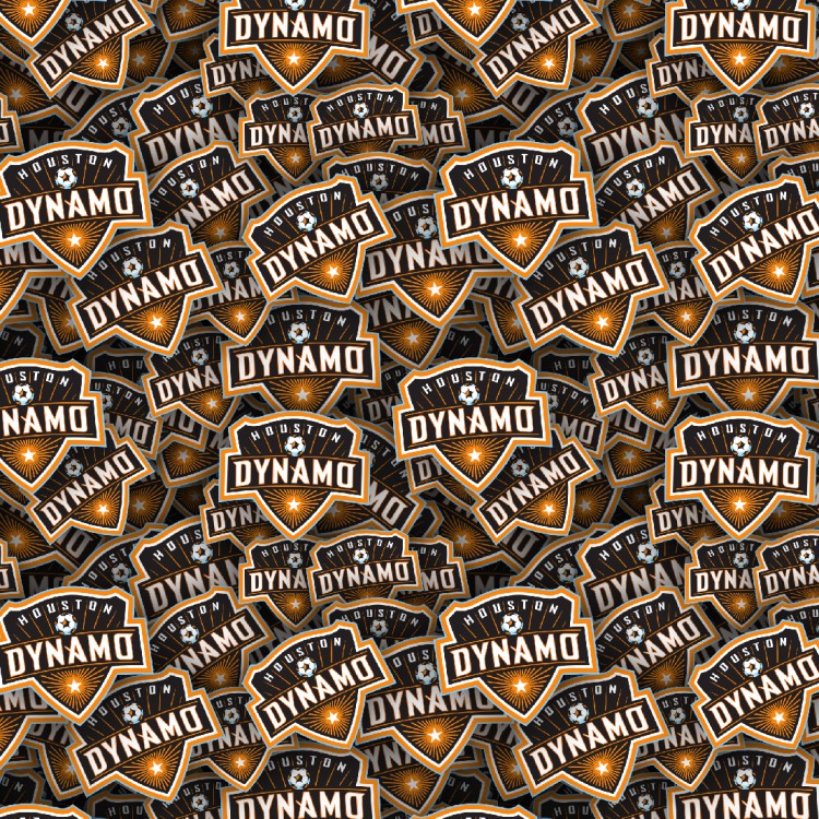 Houston Dynamos 22