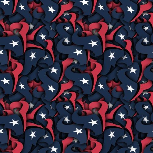 Houston Texans