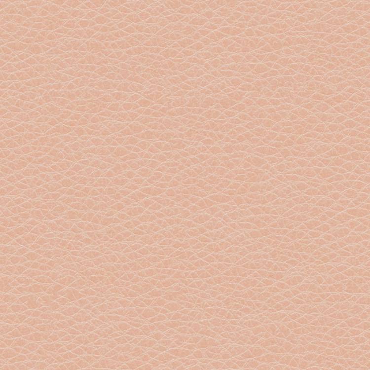 Human Skin 32