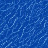 Human-Sperm-23