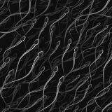 Human-Sperm-24
