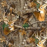IG-Deer-in-the-Woods-Edge
