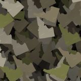 Idaho-Camo