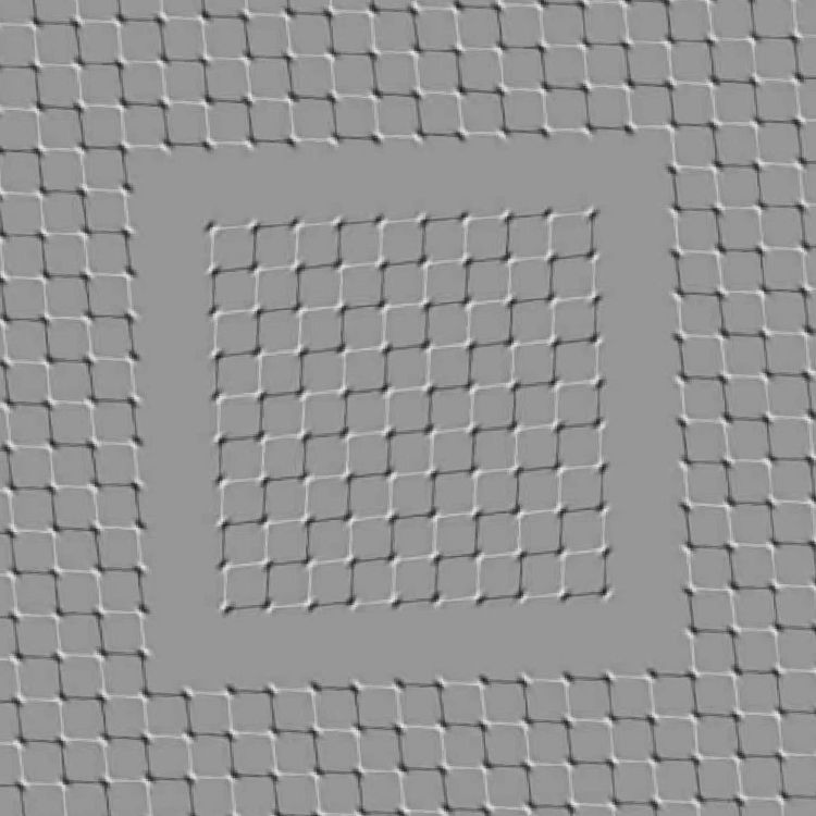 Illusion 334