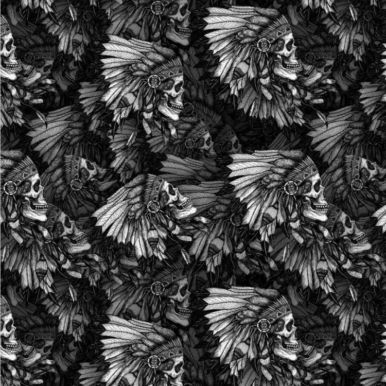 Indian Skulls 27