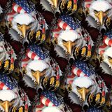 Intense-American-Eagle-22