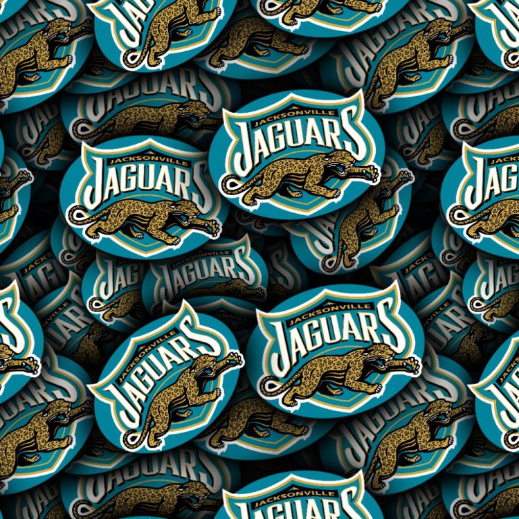 Jacksonville Jaguars 22