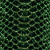 Jade-Glass-Snake-Skin