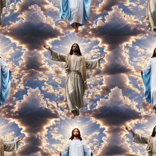 Jesus In The Clouds