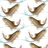 Jumping-Rainbow-Trout-thumb