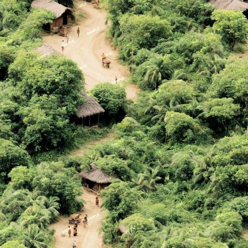 Jungle Village 43