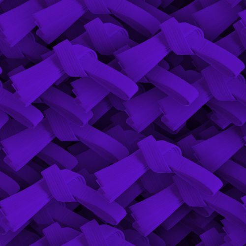 Karate Belt Purple
