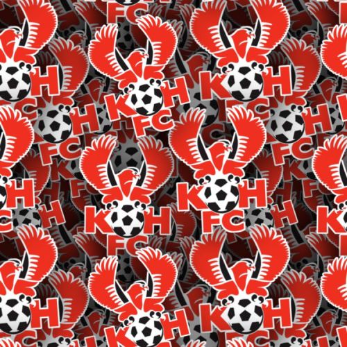 Kidderminster Harriers FC