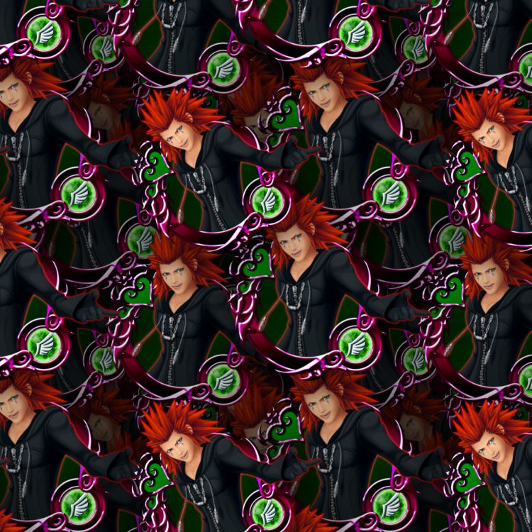 Kingdom Hearts Axel 23