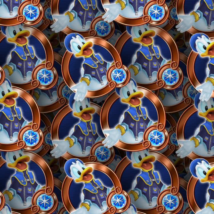 Kingdom Hearts Donald 23