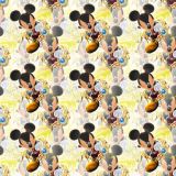 Kingdom-Hearts-Mickey-24.jpg