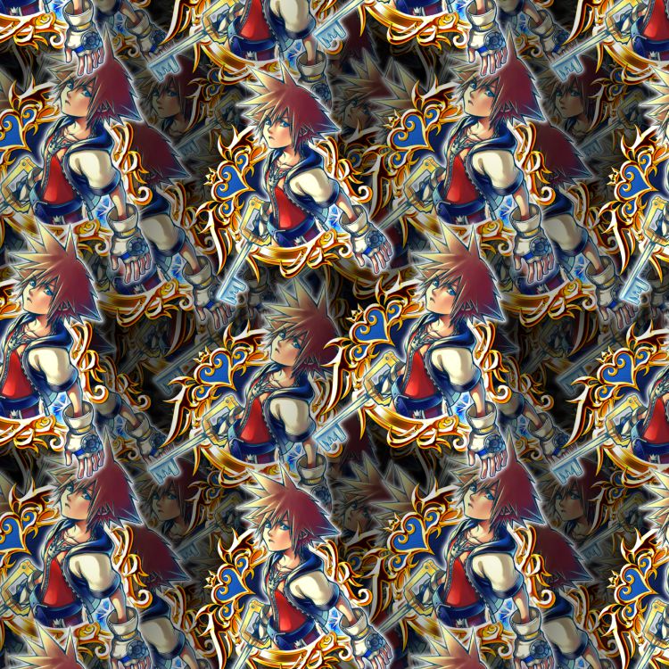Kingdom Hearts Sora 22