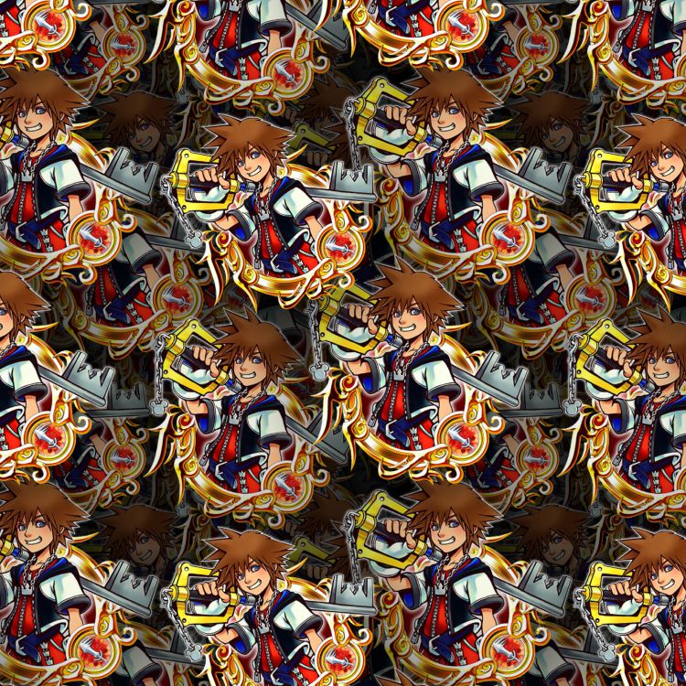 Kingdom Hearts Sora 23