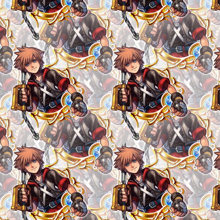 Kingdom Hearts Sora 25