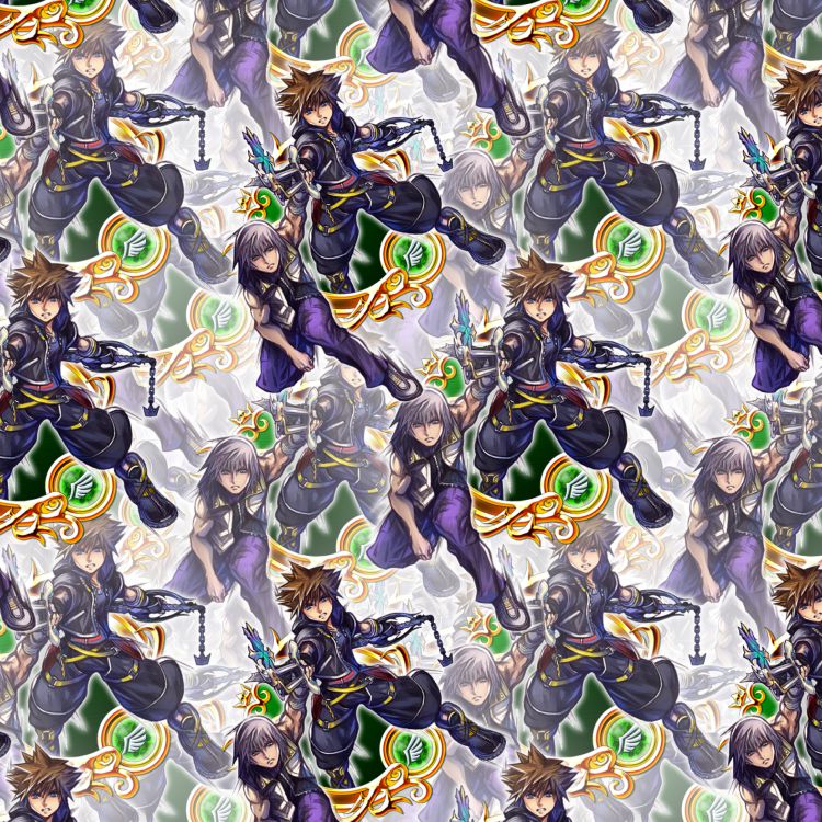Kingdom Hearts Sora and Riku