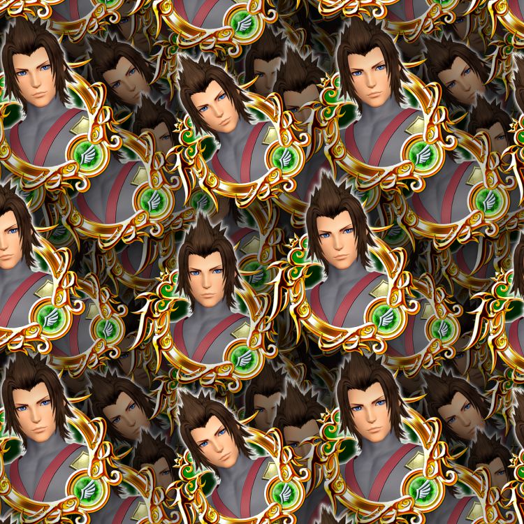 Kingdom Hearts Terra 24