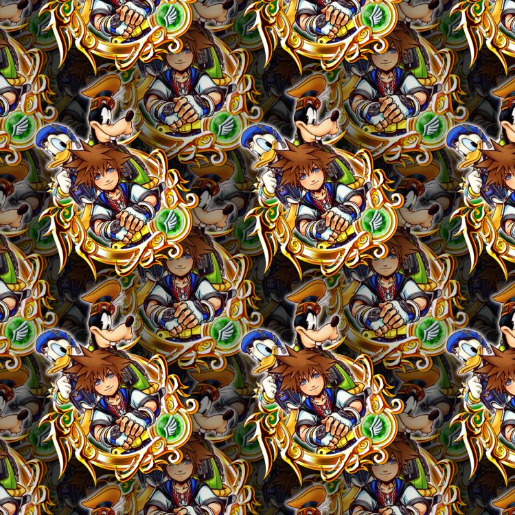 Kingdom Hearts The Gang 24