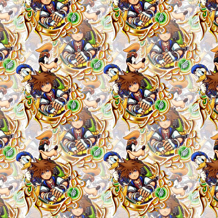 Kingdom Hearts The Gang 25