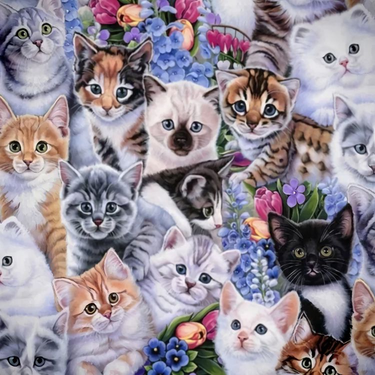Kittens 23