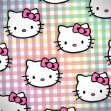 Kitty-on-Parade-24