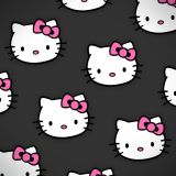 Kitty-on-Parade-26