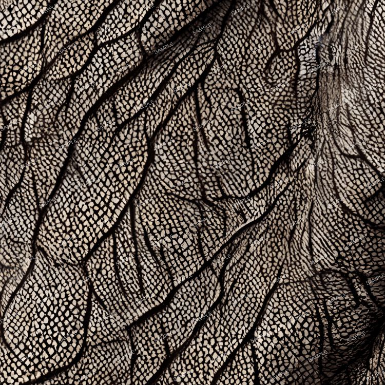 Komodo Dragon Skin