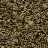 Komodo-Forest-Camo