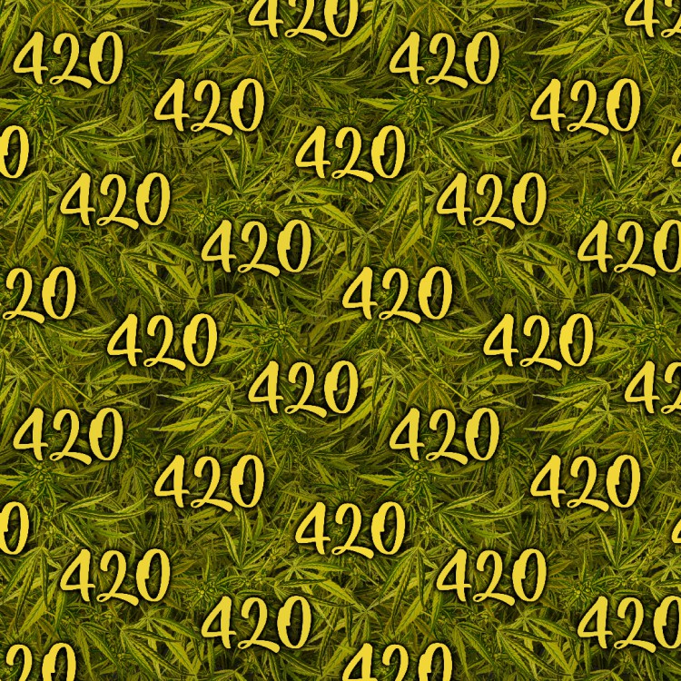 Kush Jungle 24