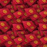 Kyrgyzstan-Flag.jpg