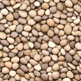 Landscaping-Pebbles
