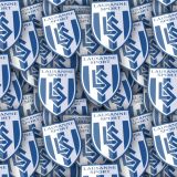 Lausanne-Sports.jpg