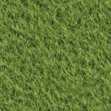 Lawn-Grass-42