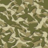 Layered-Woodland-Camo