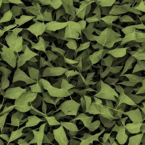 Leaf Camouflage