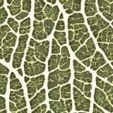 Leaf-Veins-2