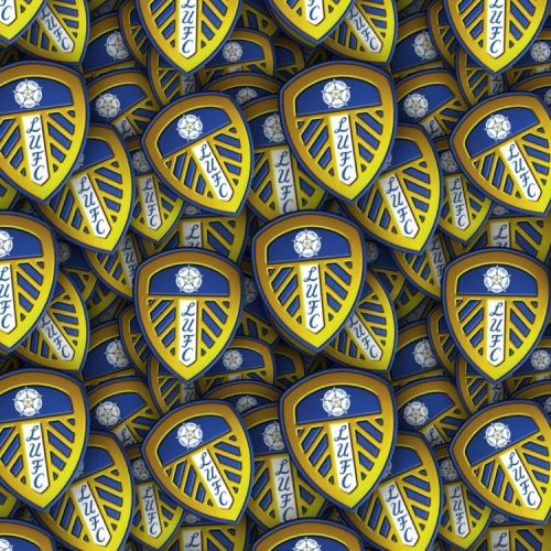 Leeds United FC 22