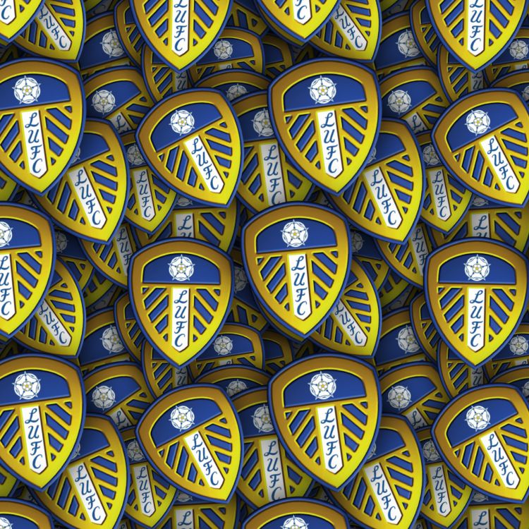 Leeds United FC 22