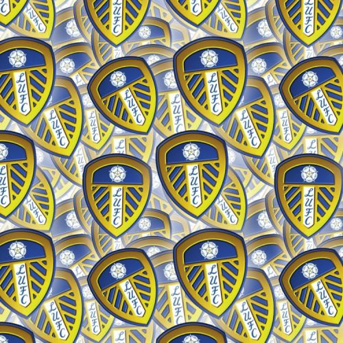 Leeds United FC 23