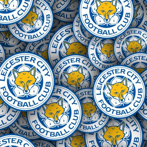 Leicester City FC 22