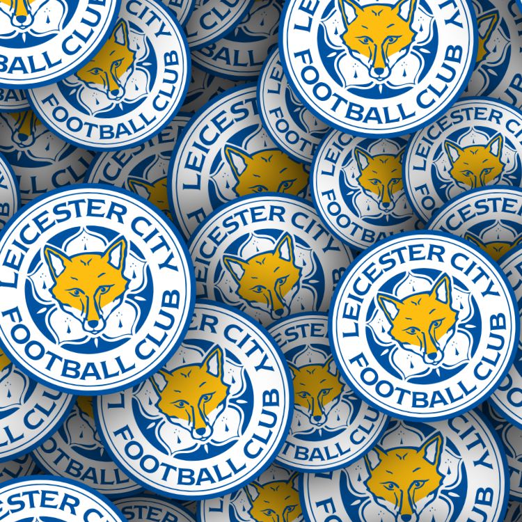 Leicester City FC 22