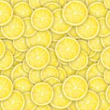 Lemon-Slices-22.jpg